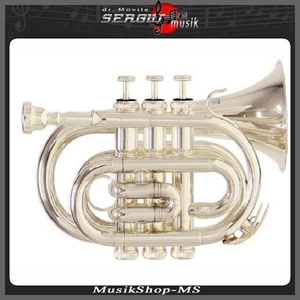 ROY BENSON Bb-Taschentrompete PT-101S Student Series PT-101S