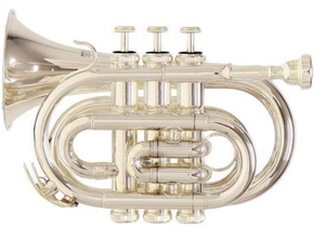 ROY BENSON Bb-Taschentrompete PT-101S Student Series PT-101S