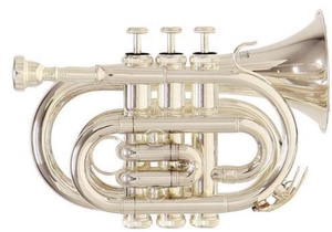 ROY BENSON Bb-Taschentrompete PT-101S Student Series PT-101S